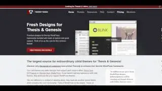 WordPress Genesis Theme Review