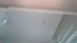 [LIVE]특집 생방송 굿모닝서울 이세희 김진욱입니다 2265회(2026/01/30)(with.불금특집 굿모닝 불금 신청곡데이)/용산&middot;과천 등 6만 가구‥노른자위 '영끌' 공급