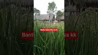 #generasiqurani