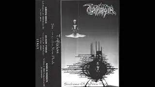 TRIFIXION (Piacenza - ITALY) - Sindrome of a New Flesh [1993]