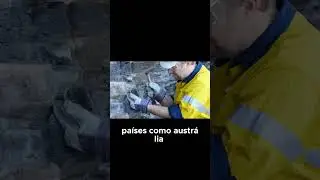 A Estrat&eacute;gia da China e a Corrida Global
