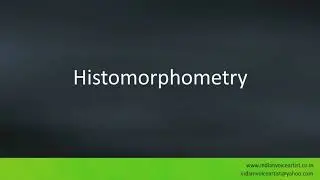 Pronunciation of the word(s) 