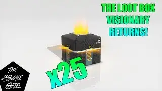 THE LOOT BOX VISIONARY RETURNS! 25 ANNIVERSARY LOOT BOX OPENING!