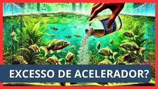 🐟 Acelerador Biológico no Aquário: Excesso? Super dosagem? O Que Acontece? 🌿