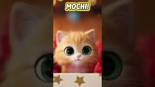 #cat #kitten #meow #cutecat #wintertales #KittenAdventures #asmr #mochi #snowman  #christmas #snowy
