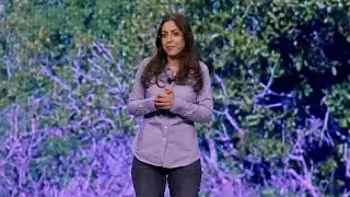 Israel's Northern Border with Lt. Col. (Ret.) Sarit Zehavi