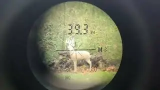 I Needed Accurate Distance FAST&hellip; This Range Finder Delivered 🎯 | Honest Review