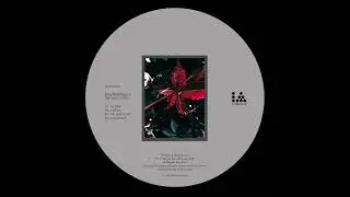 Jorg Rodriguez - Substances