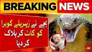 One  Year Old Boy Ki*lls Nenomous Cobra | Shocking Video | Breaking News