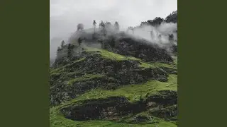 Light Through Fog