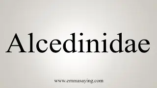 Как сказать Алцединиды