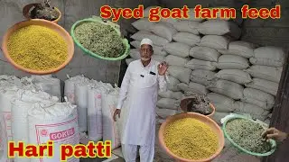 Syed goat farm feed Hari patti quality 👌 @sohailgoatfarm