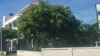 Half Way Tree Road | Balmoral Avenue | Jamaica