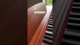 Beautiful sound, Donner DDP80 the home digital #piano your need! #donnermusic #donner