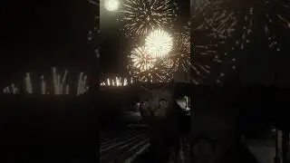 Cats during new year fireworks display :'( #cat #sad #scared #new #newyear #2024 #holiday #fireworks