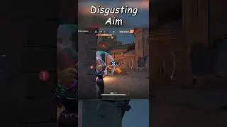 DISGUSTING BLACK WIDOW AIM