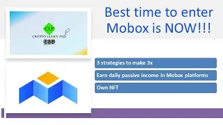 Mobox - 3 strategies to make good returns and earn daily passive income