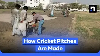 The Science Behind Cricket Pitches Explained | Nukta