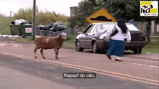 Goat Sodomy