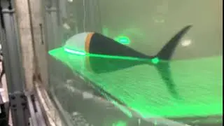 2019 Tuna robotics: A high-frequency experimental platform exploring the performance space of sw...4