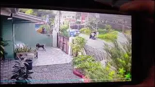 Mobile snatching @GunPoint CCTV CLIPS 😱😱