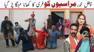 Marsai || Jagga ,CH Kukki , Soniya Jatti , Chuppi Jutt , chan ,Nahna, Noori., Asiya ... 