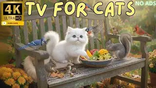 TV for Cats 🐾 Why Cats Can’t Look Away from This Bird & Squirrel Forest | 4K HDR