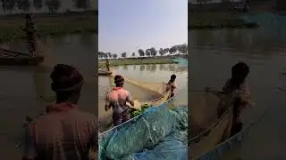 Targeting Trophy Pike: Tips and Tricks!