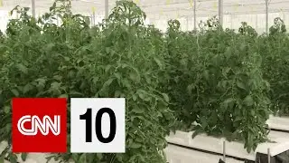 How To Grow Plants In The Desert