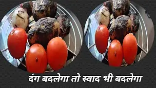 क्या आप भी पुराने तरीकों से आलू टमाटर की सब्जी बनाते हो नैया तरीका अपनाओ |
