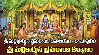 Shivaratri Special Song 2026 | Powerful Lord Shiva Devotional Song | Om Namah Shivaya
