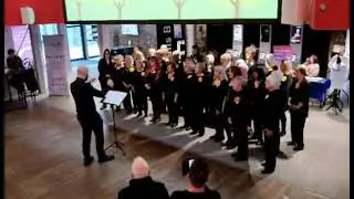 Sylvie - The Fireflies Community Choir