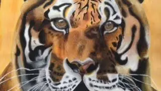 Tiger acrylic painting by syden