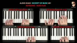 2024-1023 Aleks SHAGI EXCERPT OF MUSIC #01