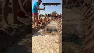 Army training with water #army #short