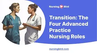 Transition: The Four Advanced Practice Nursing Roles - Essay Example