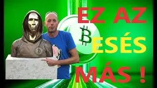 Kripto H&iacute;rek. Ez a Bitcoin Es&eacute;s M&aacute;s, ADA 30% Rally J&ouml;het?, WhatsApp Crypto K&uuml;ld&eacute;s, Coinbase NFT J&ouml;n