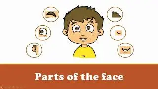 Free PowerPoint Presentation | ESL / EFL Vocabulary Learning | PPT Activity | Body Parts (Face)