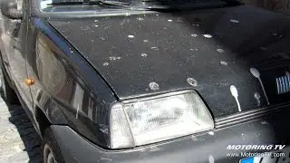 Tip of the Week: Avoiding damage from bird droppings
