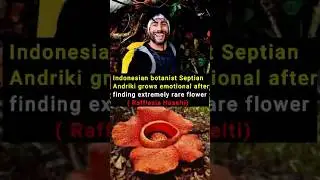 World&rsquo;s Rarest Flower Caught on Camera! 13-Year Search of Septian Andriki #shortsfeed