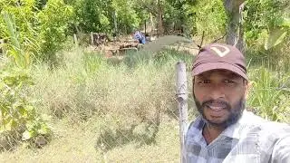 All solar system sales service available contact  9080406670 Ariyalur Perambalur tittakudi sendurai 