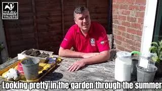 Make your own seed bombs with Mike