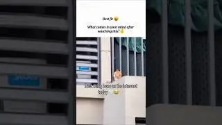 best thing you will saw on internet today❣️#cat#catmemes#funny#trending#shortsfeed#ytshorts#love