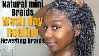 natural mini braids| wash day routine/ hair revert