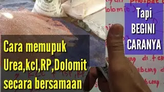 Cara mencampur pupuk Urea,KCL,RP dan Dolomit @kopiinspirasi8193