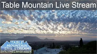 Table Mountain Live Stream | Cape Town Webcam | South Africa