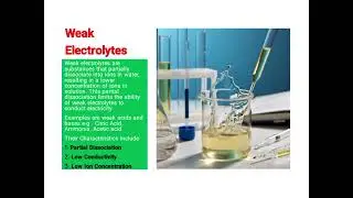 Acids and Bases as Electrolytes - WAEC, JAMB, and NECO Chemistry