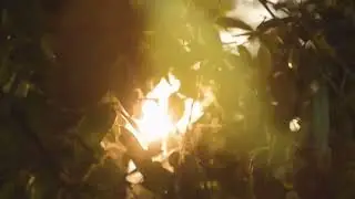 In the Palace Garden | Romantic High Elf Theme | Epic Fantasy Instrumental