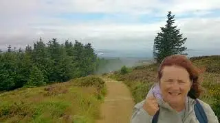 Kilmashogue forest to Three Rock mountain to Fairy Castle.
