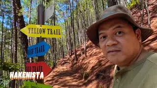 HIDDEN HIKING TRAIL in BAGUIO! | Yellow Trail, Camp John Hay, Baguio City